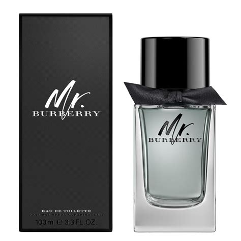 burberry mr burberry edt 100ml|Burberry hero 1.6 oz.